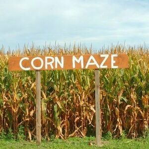 2nd - Moore's 'Mazing Munchkins